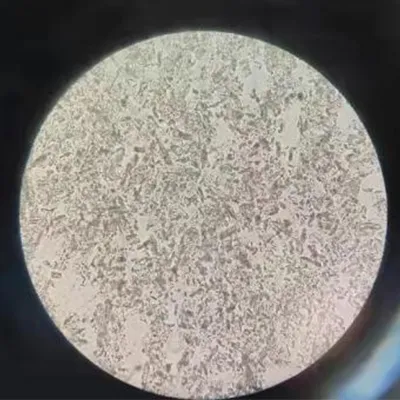 Después de la homogeneización a baja presión