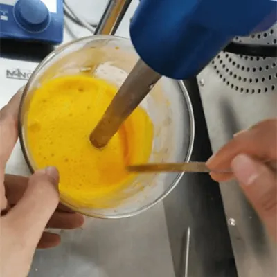 Antes de la encapsulación