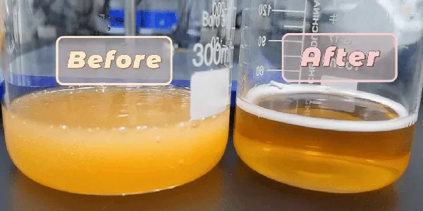 Preparación de nanoesencia