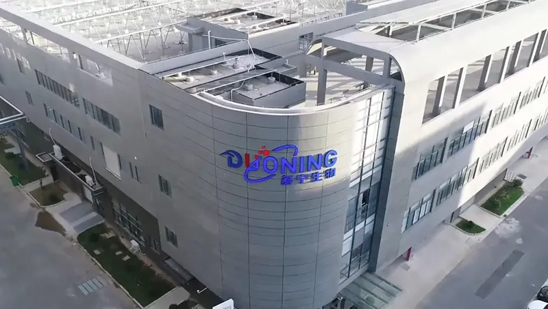 Acerca de la empresa