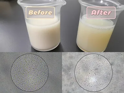 Disrupción celular de la levadura Pichia pastoris