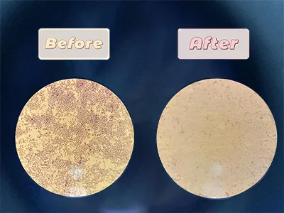 Disrupción celular de la bacteria E. coli